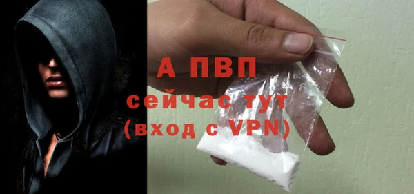 стафф Богородск
