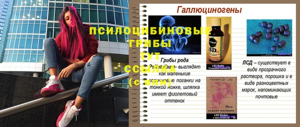 spice Богданович