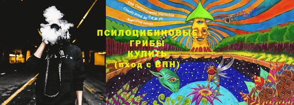 spice Богданович