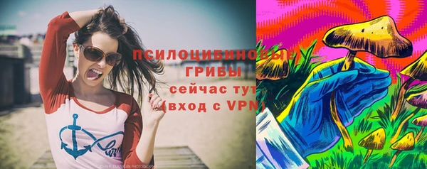 стафф Богородск