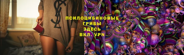 стафф Богородск