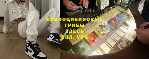 spice Богданович
